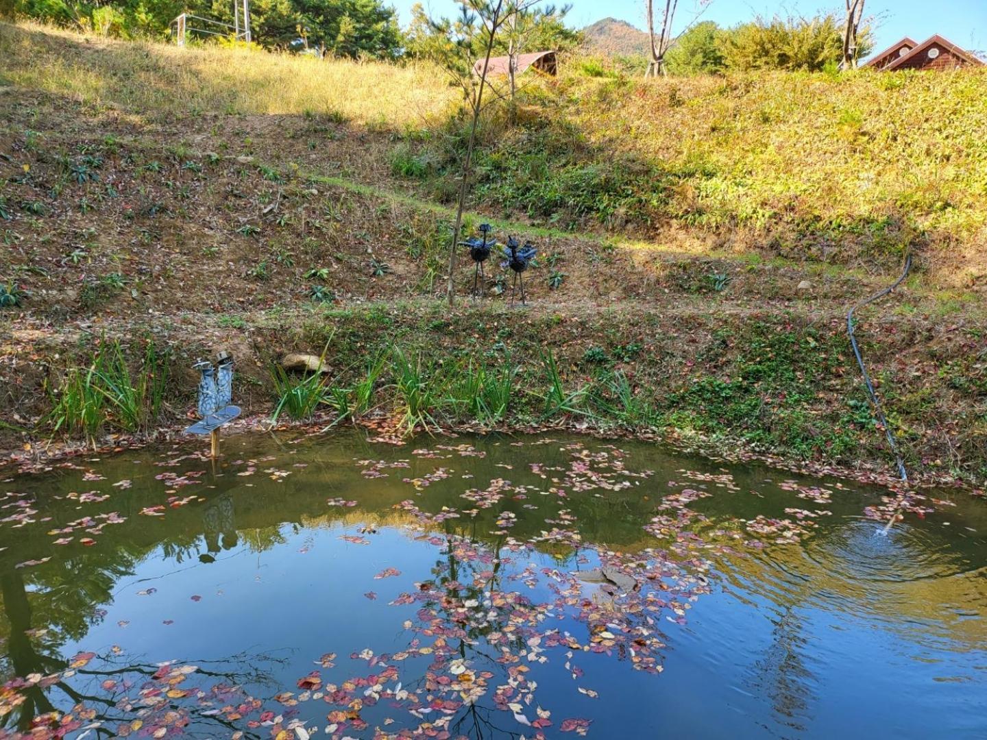 Forest Healing Park Cheongyu Hotel คังนึง ภายนอก รูปภาพ